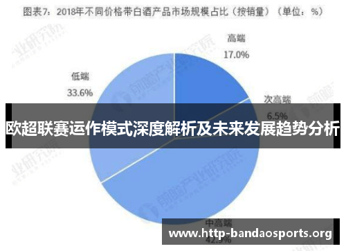 欧超联赛运作模式深度解析及未来发展趋势分析